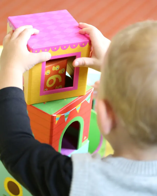 Toddler stacking picture blocks
